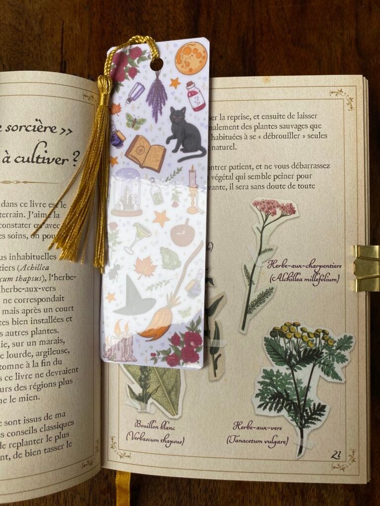 Détail du marque-page sorcière Les Soeurcières dessiné sur iPad