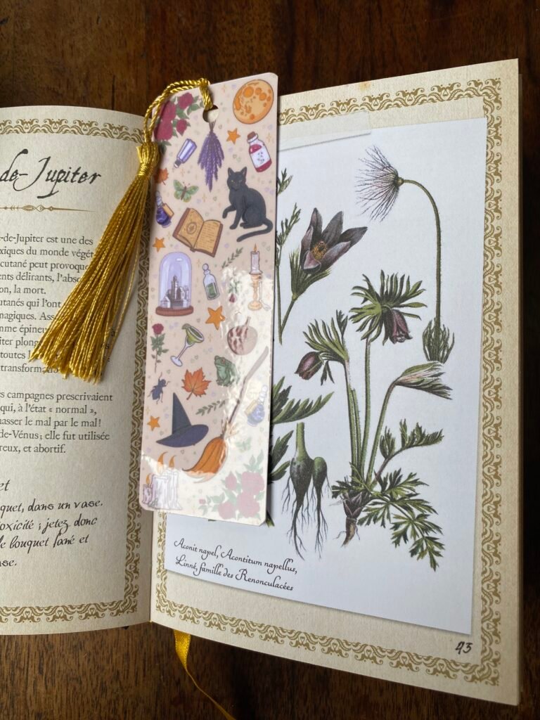 Marque-page cottagecore Practical Magic posé sur un livre
